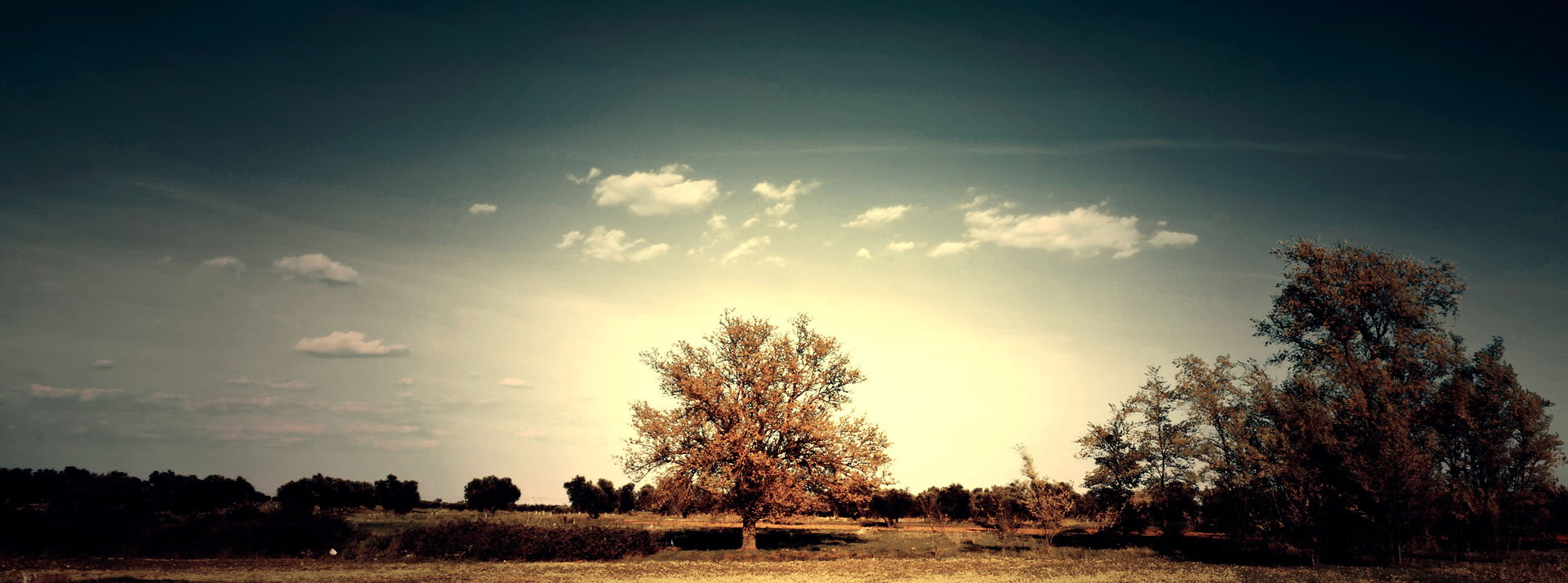 beijing star macular disease foundation